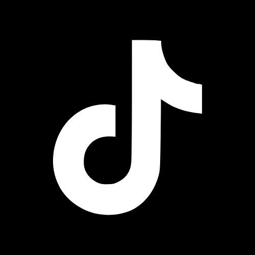 WebVerdienst.net auf TikTok TikTok